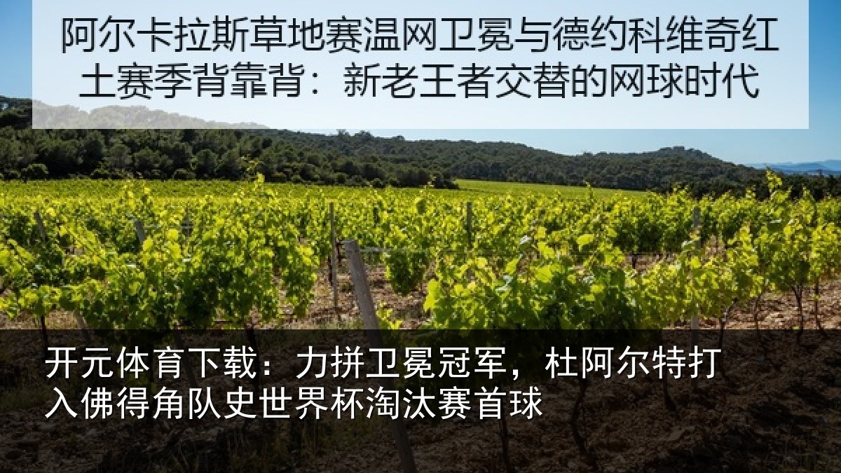 开元体育下载：力拼卫冕冠军，杜阿相关情况史世界杯淘汰赛首球