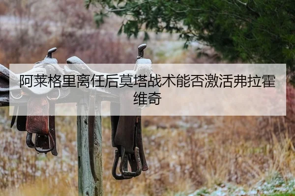 阿莱格里离任后莫塔战术能否激活弗拉霍维奇
